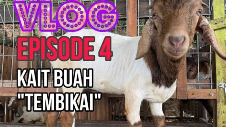 Episode 4 Kait GillisHanna YouTube