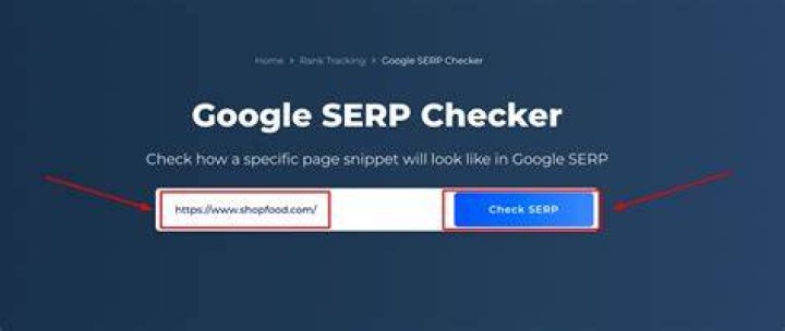 Google SERP Checker Find Site Position & Competitors ☑