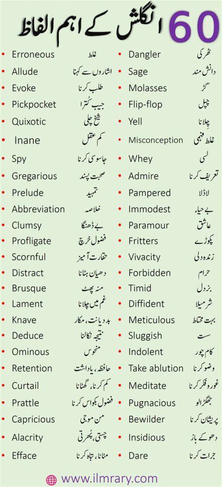 ZUMA Meaning in Urdu Urdu Translation